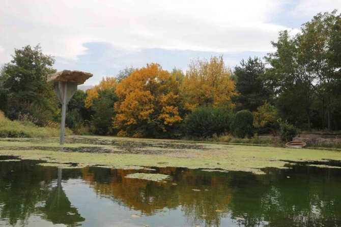 Erzurum’da Sonbaharda Kartpostallık Görüntüler Oluştu