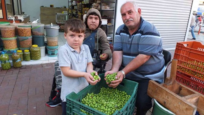 Balıkesir’de Kırma Zeytin Yapımına Başlandı