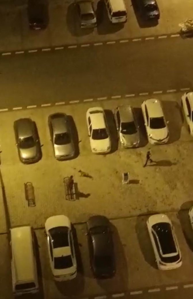 Köpeği Çocukların Üstüne Saldı, Korkan Çocuk Otomobilin Üstüne Çıktı