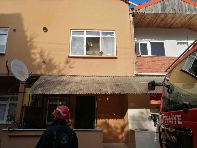 Muhabbet Kuşunu Yangından İtfaiye Ekipleri Kurtardı