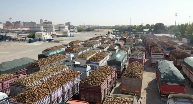 Konya Şeker’den 149 Milyon 808 Bin Tl Pancar Söküm Avansı