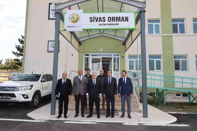 Sivas’ta Orman Oranı Yüzde 8’den Yüzde 18’e Çıktı