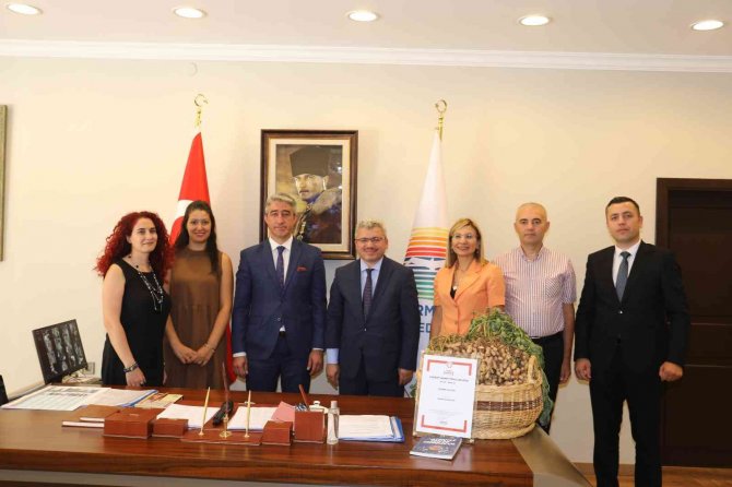 Marmaris’in Yer Fıstığı Coğrafi İşaret Aldı