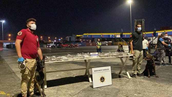 Muz Konteynerinde 48 Kilo 800 Gram Kokain Ele Geçirildi