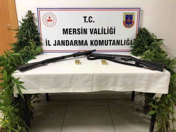 Mersin’de Uyuşturucu Operasyonu: 2 Gözaltı