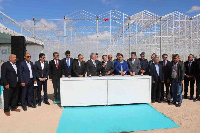 Bozkır Topraklarına 50 Milyon Dolarlık ’Domates’ Serası