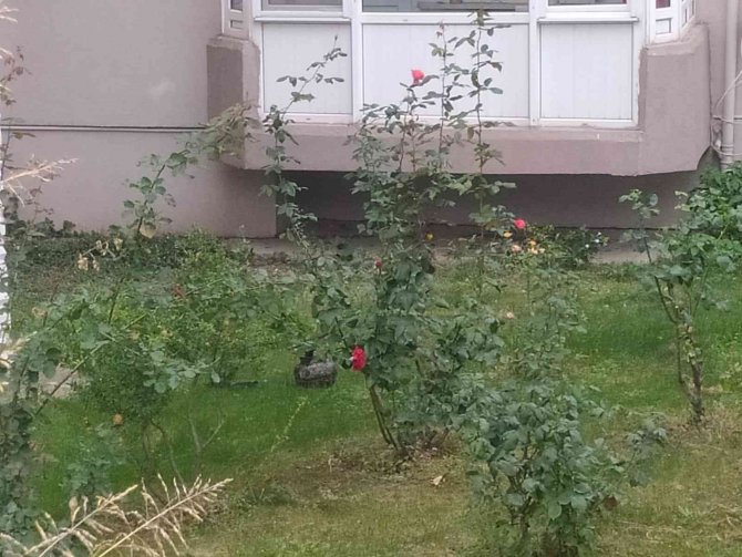 Balkonda Patlayan Tüp Paniğe Neden Oldu
