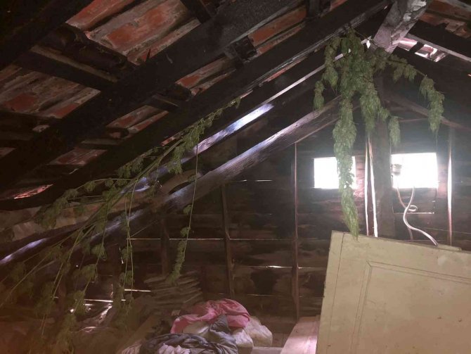 Sakarya’da 8 Kilo Esrar Ele Geçirildi: 1 Gözaltı