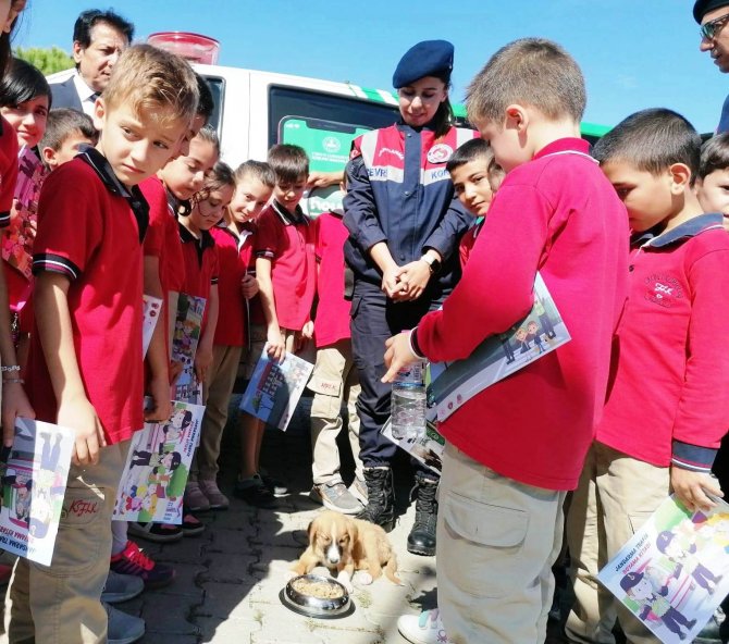Salihli’de Sokak Hayvanları Unutulmadı