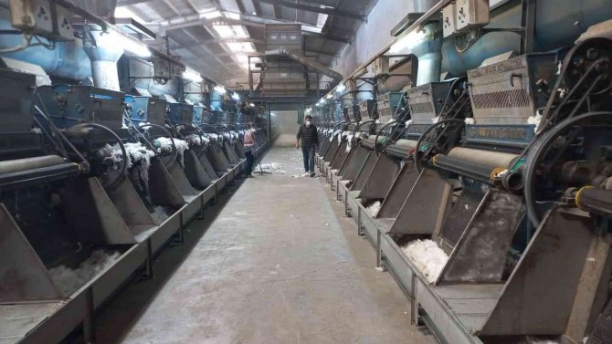 Kızıltepe Ovası’nda pamuk Hasadı Başladı