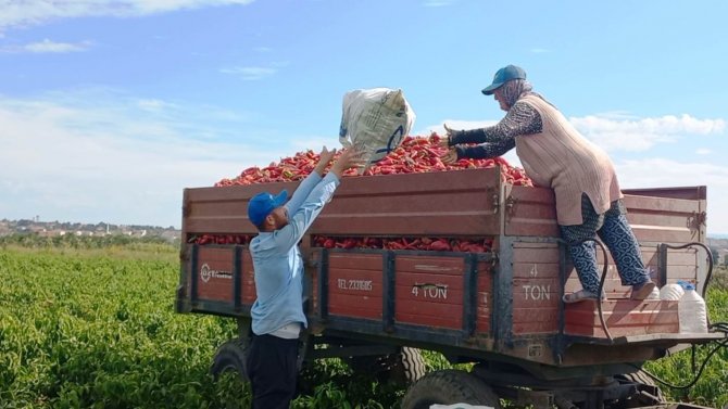 Kapya Biber Yüz Güldürüyor