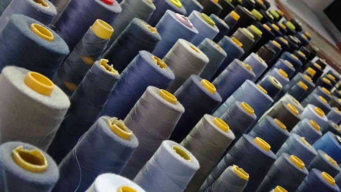 Ordu’nun Kot Doktoru