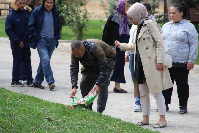 Sokak Hayvanlarına Önce Mama Bıraktılar Sonra Sevdiler