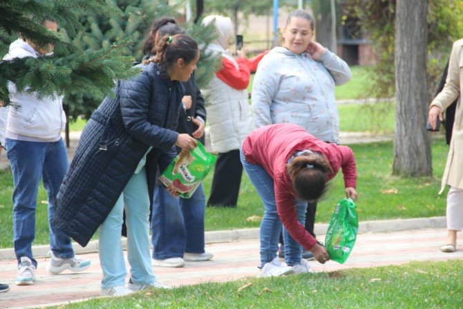 Sokak Hayvanlarına Önce Mama Bıraktılar Sonra Sevdiler