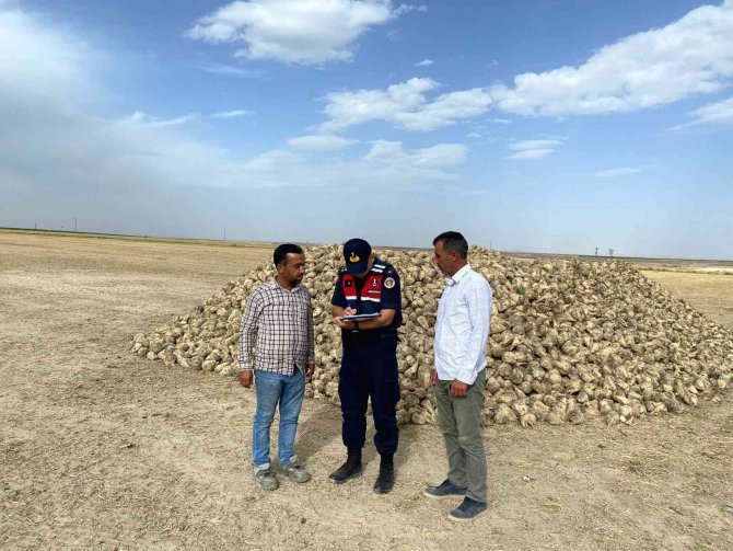Aksaray Jandarma Hırsızlığa Karşı Tarım Arazilerinde