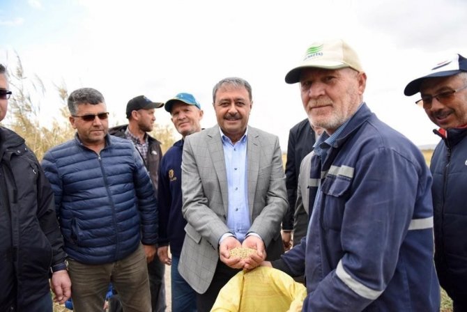 Balıkesir Valisi Şıldak Gönen’de Çeltik Hasadına Katıldı