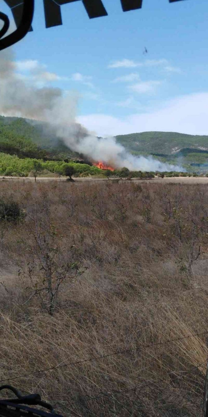 Gelibolu’da Orman Yangını