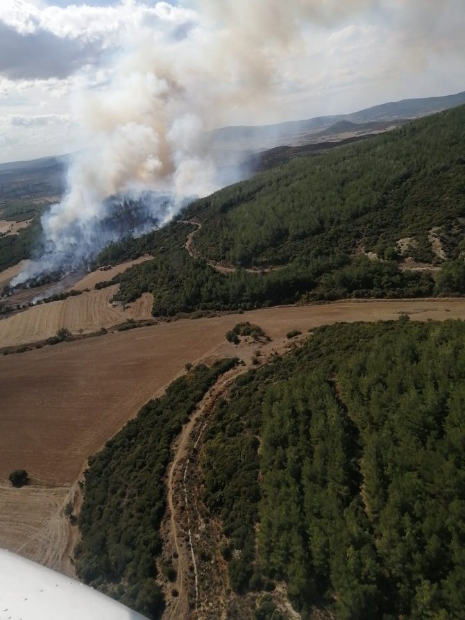 Gelibolu’da Orman Yangını