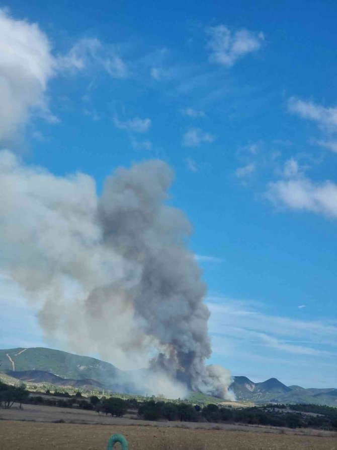 Gelibolu’da Orman Yangını