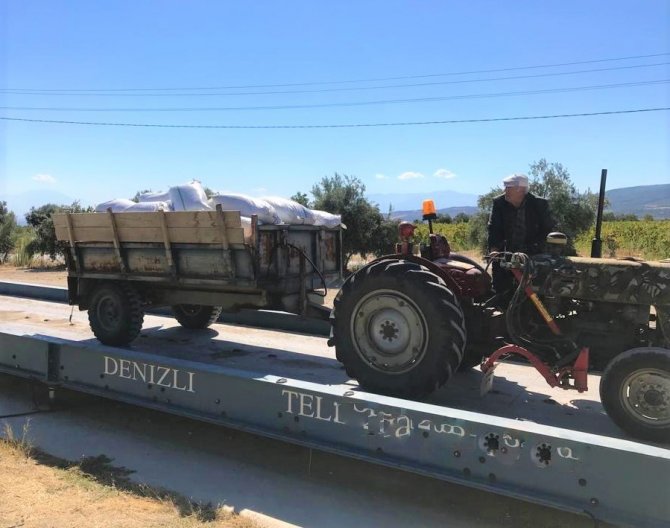 Bereketli Bir Sezon Geçiren Üzümcünün Yüzü Gülüyor