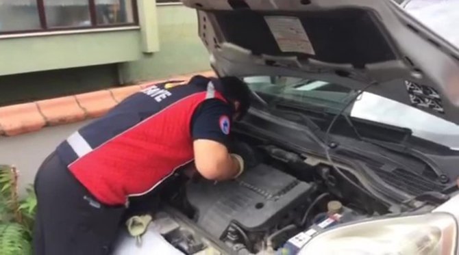 Aracın Motor Kısmına Giren Kedi İnatçı Çıkınca İşe Taksiyle Gitmek Zorunda Kaldı
