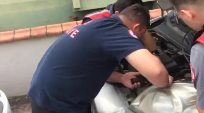 Aracın Motor Kısmına Giren Kedi İnatçı Çıkınca İşe Taksiyle Gitmek Zorunda Kaldı