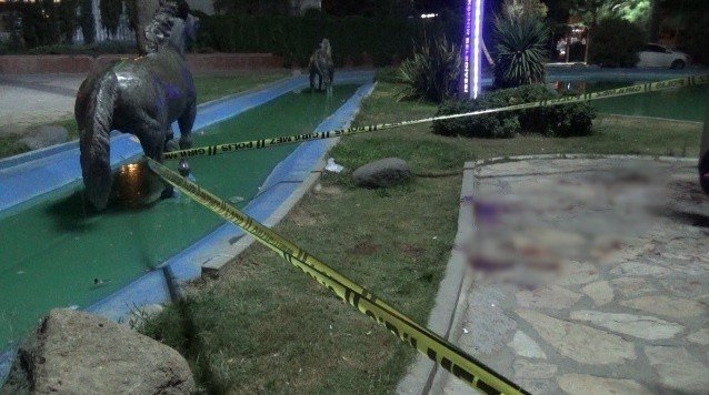 Köpeğini Gezdiren Adamı Kırık Camla Yaralayan Şahıs Tutuklandı