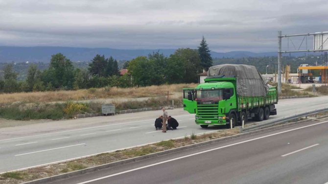 D100’de Kamyonun Çatptığı Yaşlı Adam Ağır Yaralandı