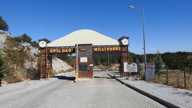 Geyikleri Elle Besleyen Yandı: İ̇dari Para Cezası Var