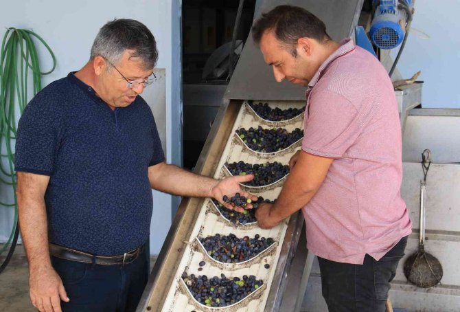 Bu Sene Bereket Yılı, Dünya Talep Ediyor