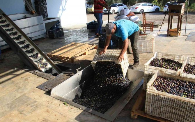 Bu Sene Bereket Yılı, Dünya Talep Ediyor
