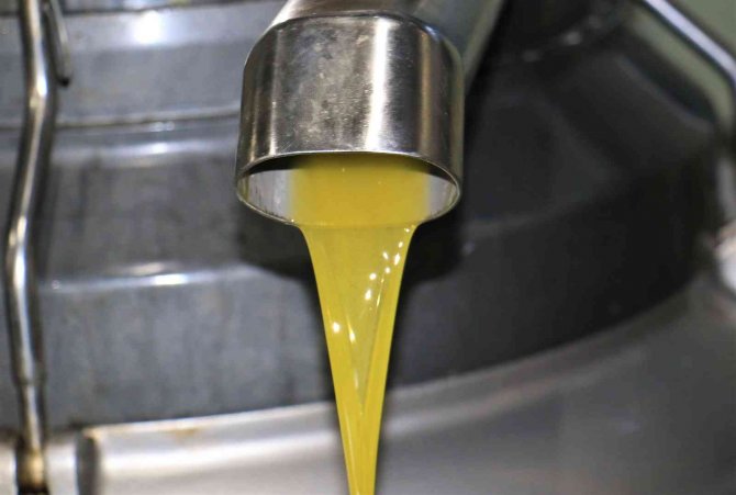 Bu Sene Bereket Yılı, Dünya Talep Ediyor
