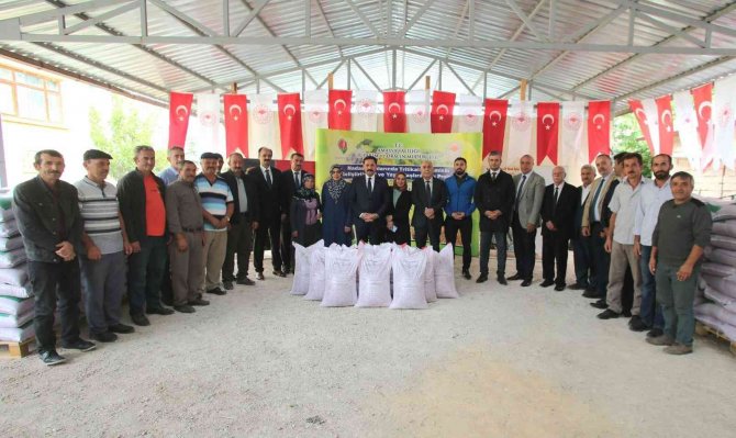 Amasya Çiftçisine 169 Ton Yem Bitkisi Tohumu Desteği