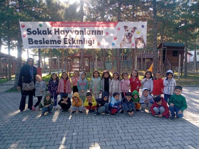 Öğrencilerden Evcil Hayvan Parkına Yoğun İlgi