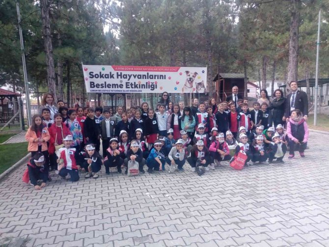 Öğrencilerden Evcil Hayvan Parkına Yoğun İlgi
