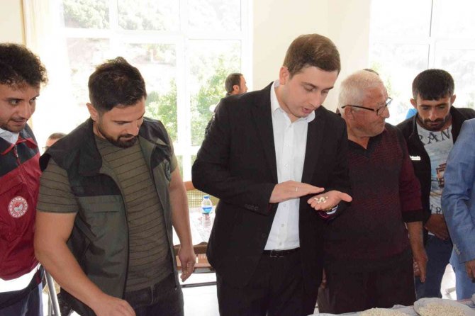 Yedisu’da ’Horoz Kuru Fasulyesi Hasat Şenliği’ Düzenlendi