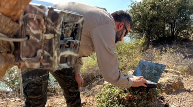 Nesli Tehlike Altında Olan Saz Kedisi İçin Çalışmalar Devam Ediyor