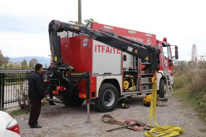 Bataklığa Saplanan İneği İtfaiye Kurtardı