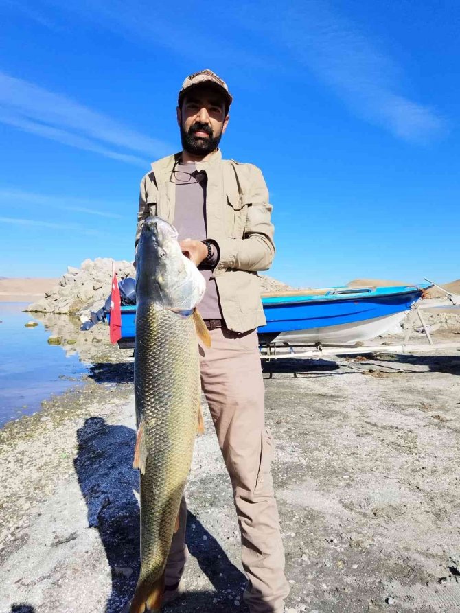 Elazığ’da Balıkçı, Yarım Saatlik Mücadelenin Ardından Dev Turnayı Olta İle Tuttu