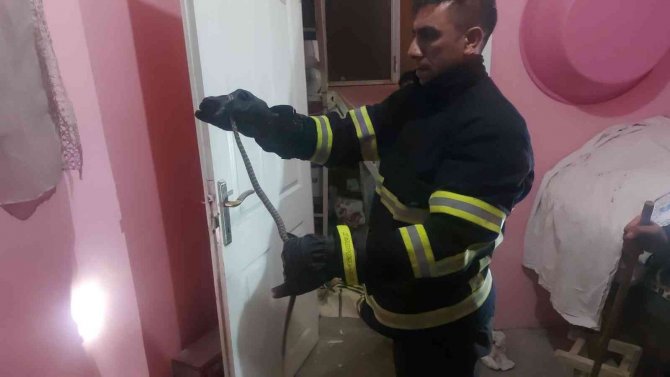 Siirt’te Eve Giren Yılanı İtfaiye Ekipleri Çıkardı