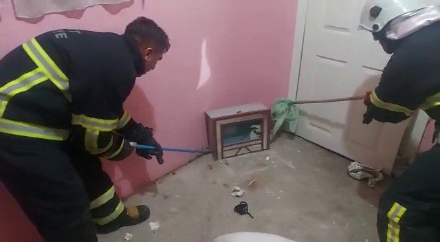 Siirt’te Eve Giren Yılanı İtfaiye Ekipleri Çıkardı