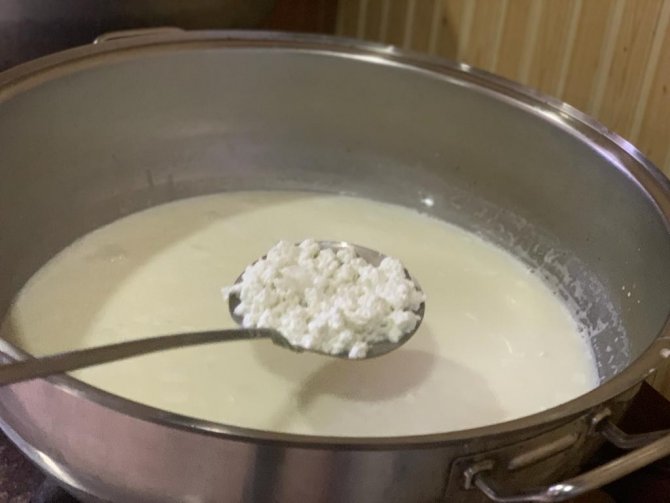 Çaycuma’da Cevizli Kaşar Ve Manda Peyniri Tescili İçin Çalışmalar Başladı