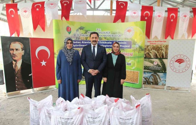Amasya Çiftçisine 169 Ton Yem Bitkisi Tohumu Desteği