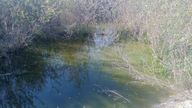 Çaycuma Belediyesi’nin Kanalizasyon Atığını Osb Arıtma Tesisine Döktüğü İddia Edildi