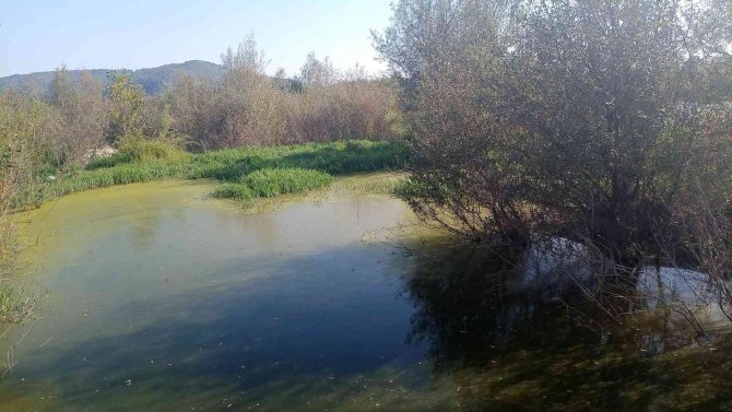 Çaycuma Belediyesi’nin Kanalizasyon Atığını Osb Arıtma Tesisine Döktüğü İddia Edildi