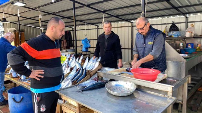 Zonguldak’ta Palamudun Fiyatı Yükselişe Geçti