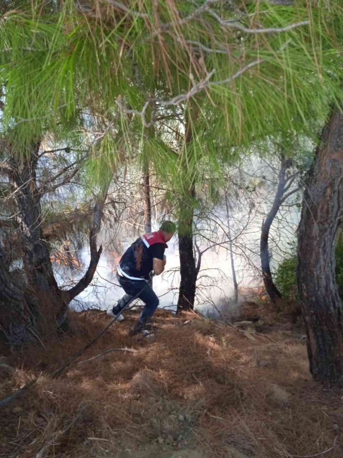 Orman Yangını Büyümeden Söndürüldü
