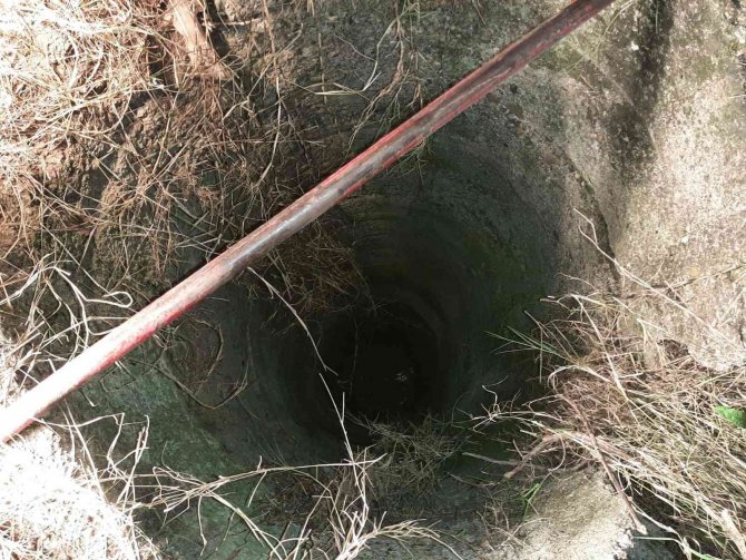 Kuyuya Düşen Koyunu Afad Ekibi Kurtardı