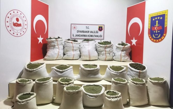Diyarbakır’da 232 Bin Kök Kenevir Ele Geçirildi