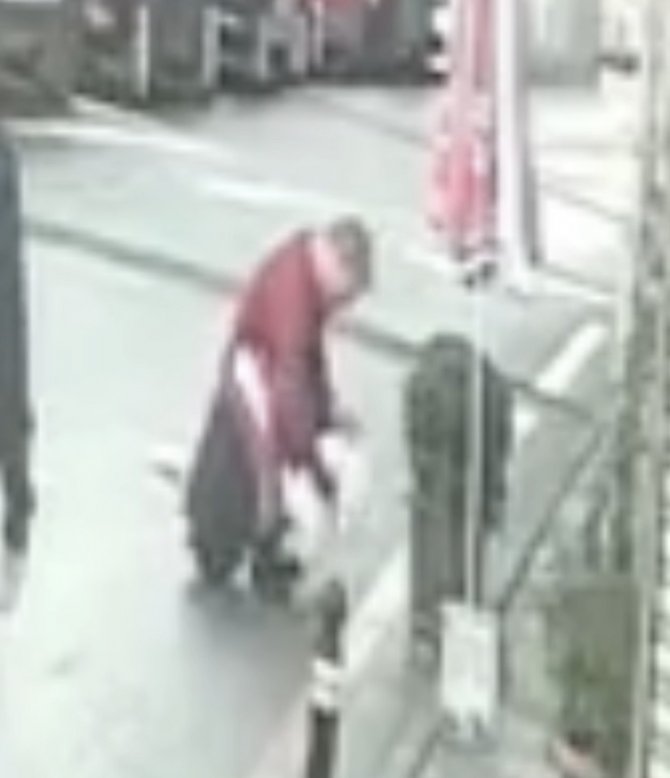 Fatih’te Yavru Köpeği Önce Sevdi, Sonra Çaldı